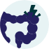 IBS & Gut Health